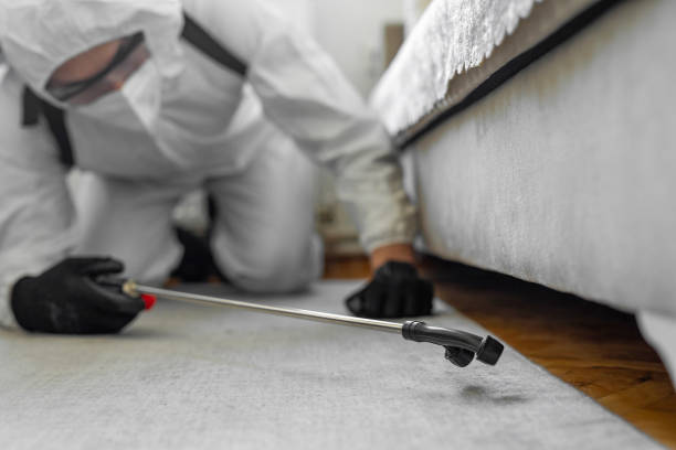 Professional Bed Bug Control technician working in Chesterfield, MO