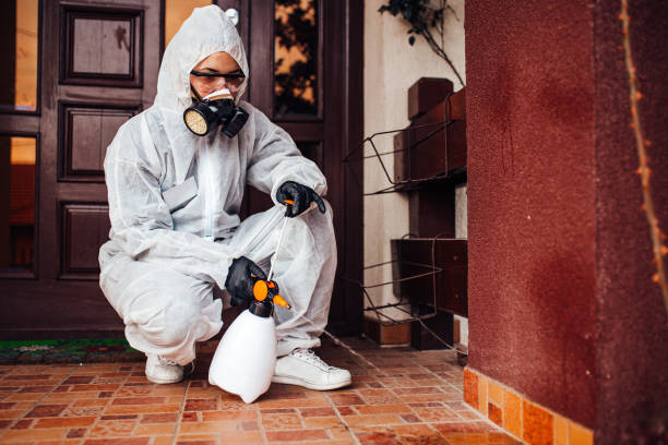 Reliable Bed Bug Control contractor in Chesterfield, MO by Nex Pest Control